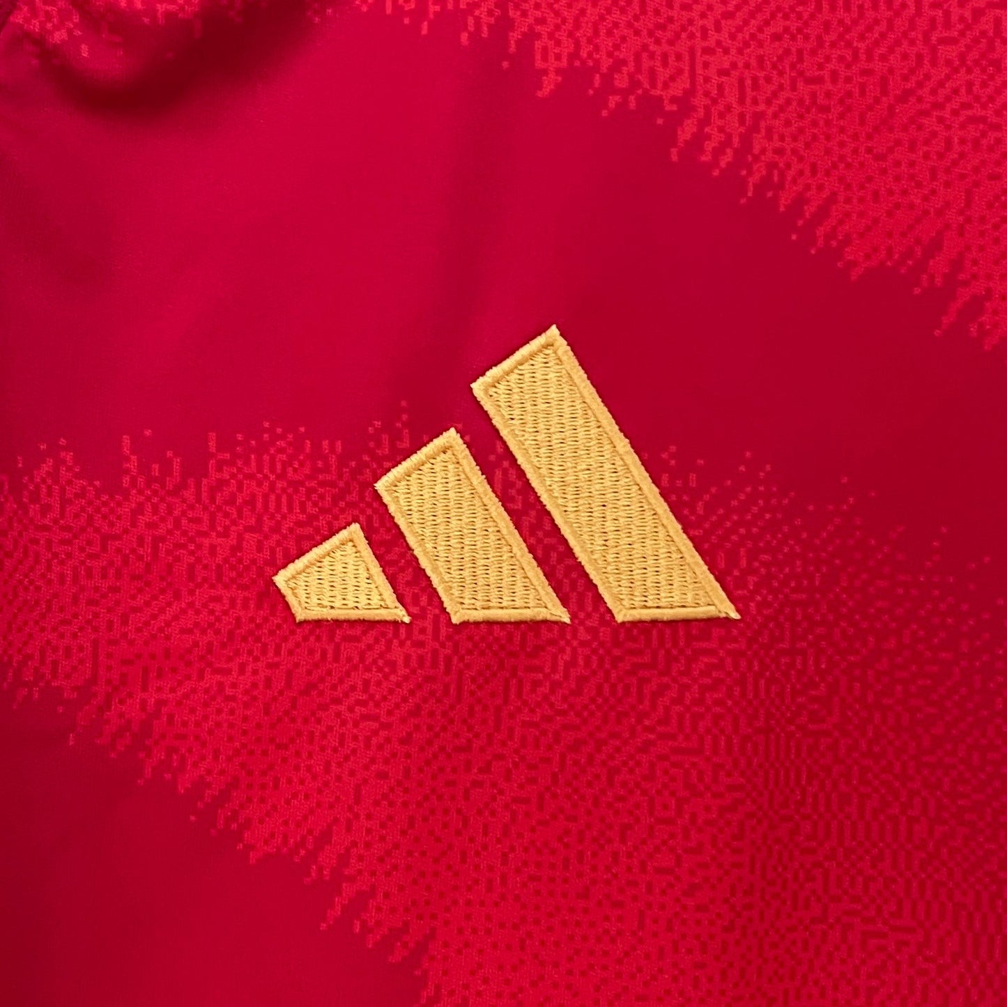 Spain Pedri 21 Home Soccer Jersey Euro 2024