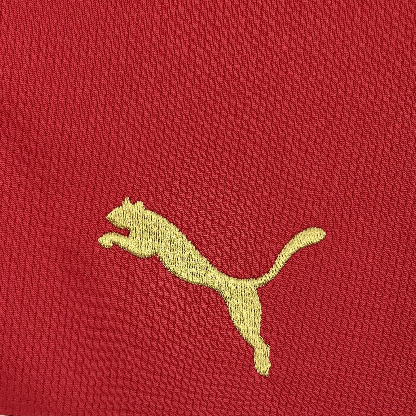 Morocco Home Soccer Jersey World Cup 2026