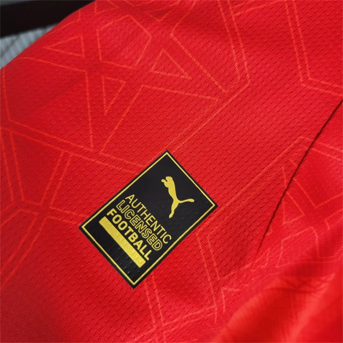 Morocco Home Soccer Jersey 2024/25
