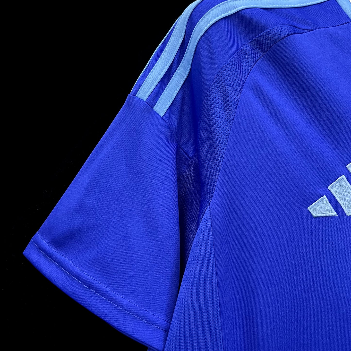 Argentina Lionel Messi 10 Away Soccer Jersey 2024/25