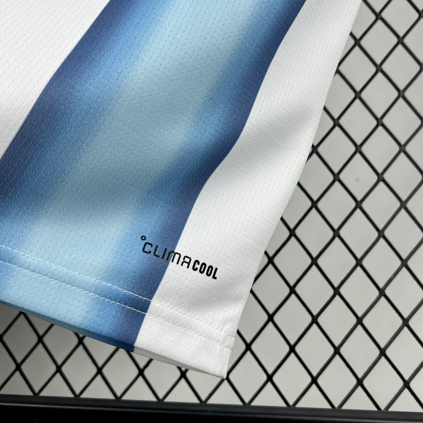 Argentina Diego Maradona 10 Home Soccer Jersey World Cup 2026