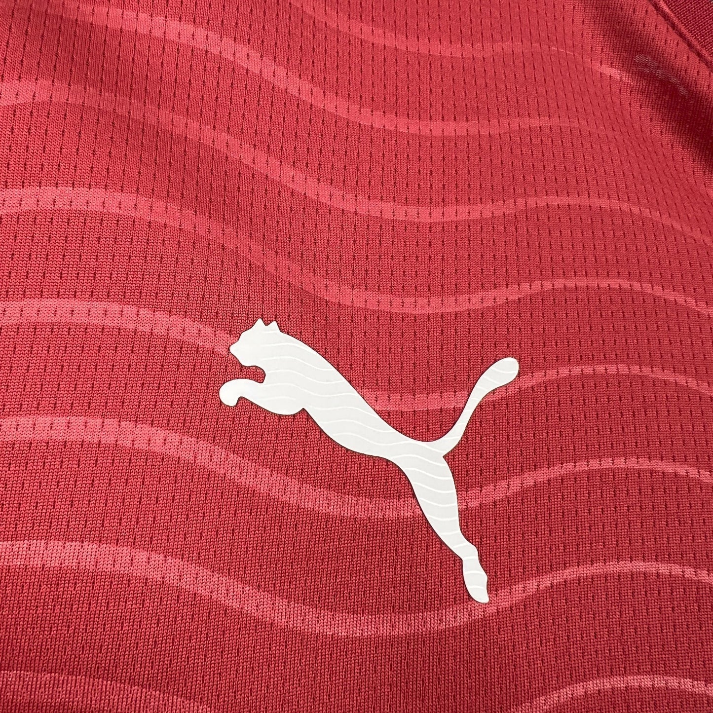 Portugal Long Sleeve Home Soccer Jersey World Cup 2026