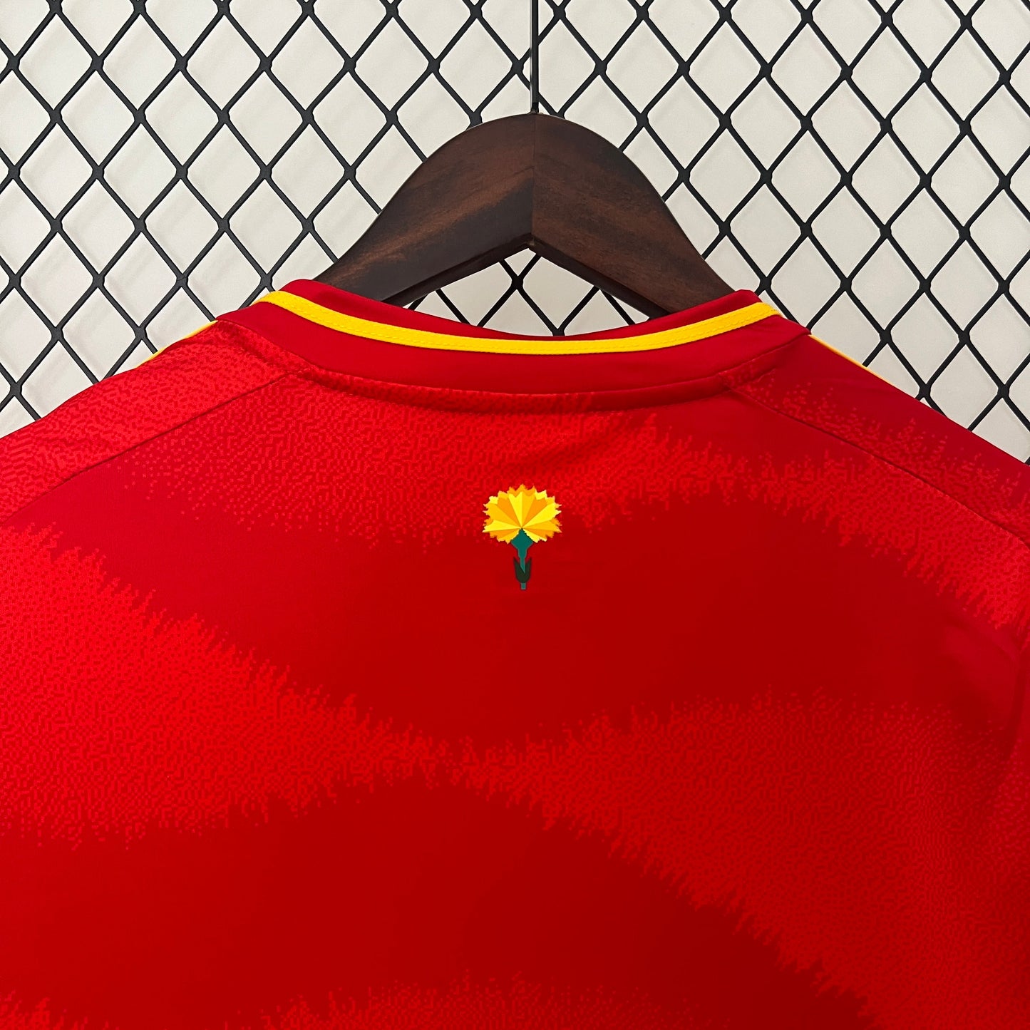Spain Pedri 21 Home Soccer Jersey Euro 2024