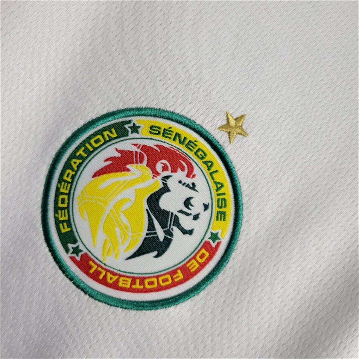 Senegal Kalidou Koulibaly 3 Home Soccer Jersey 2024/25