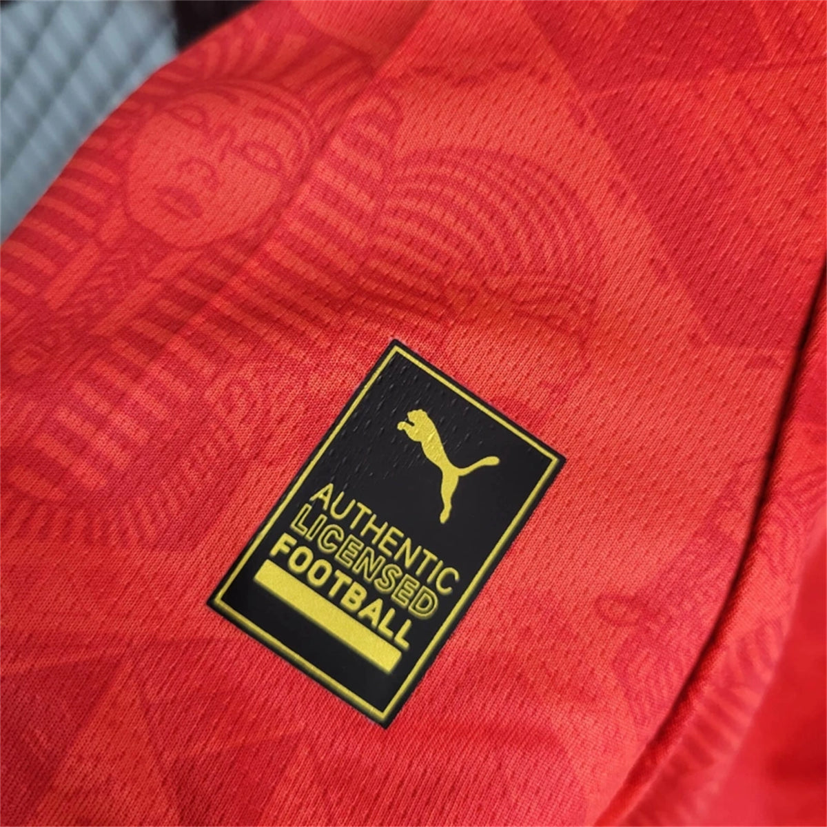 Egypt Mohamed Salah 10 Home Soccer Jersey 2024/25