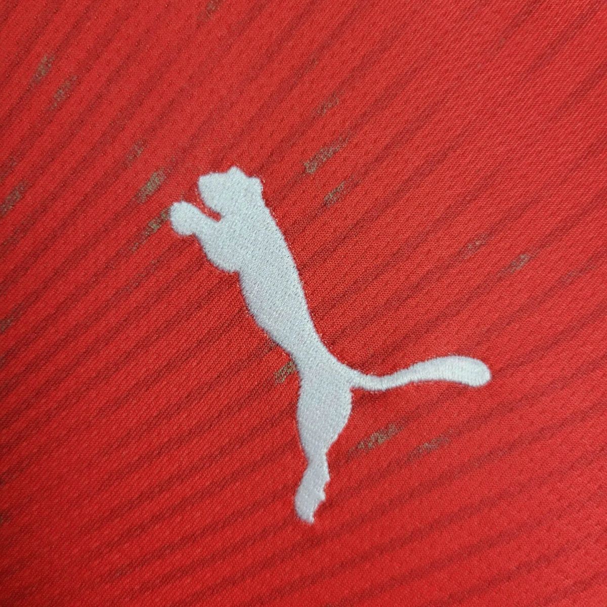 Switzerland Home Soccer Jersey World Cup 2026